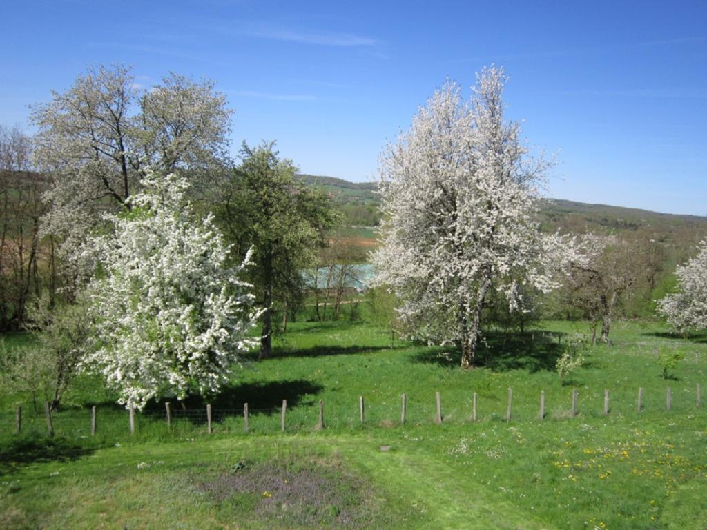 Gite Les Cossas Saint-Hilaire  Bagian luar foto